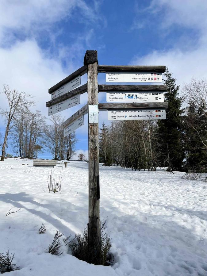 Staycozy Bike&Ski Apartments, Barrierefrei, Free Wifi, Erdgeschoss Winterberg Exteriör bild